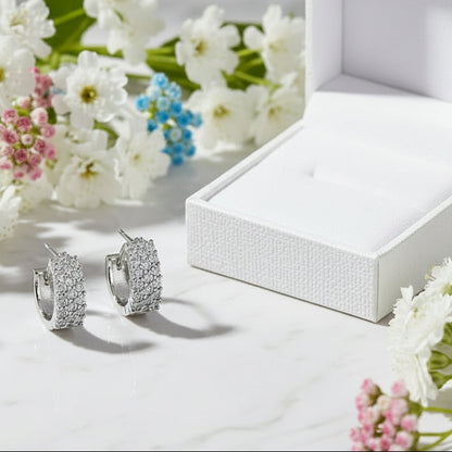 Mosaic Italian Design Micro Inlaid Moissanite Earrings set in Platinum Plated 925 Silver (GRA) Capella Reya next to box